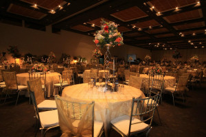 Lazy Owl Image